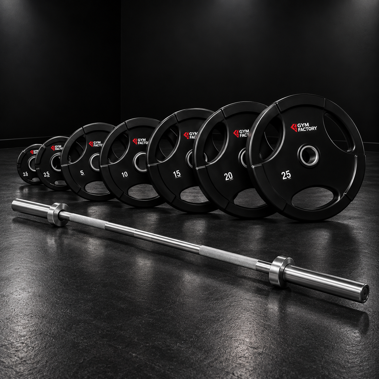 Barbells & Weight Plates